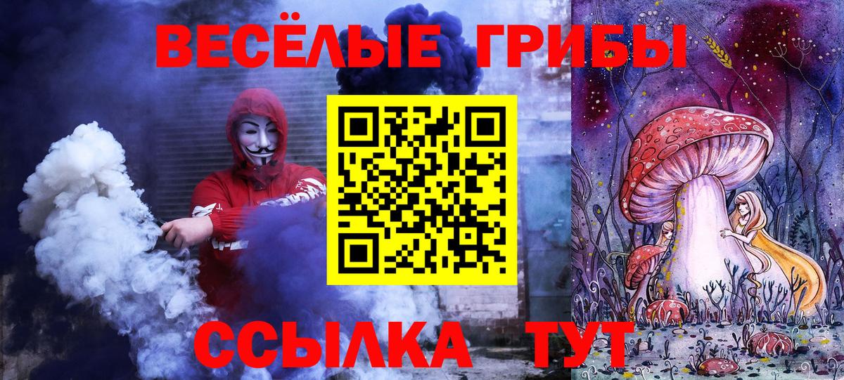 Ачхой-Мартан  Галлюциногенные грибы мухоморы  Вход с VPN 