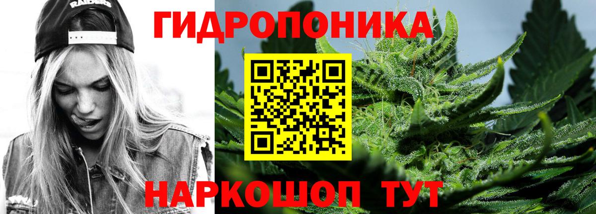 Шишки марихуана семена Ачхой-Мартан